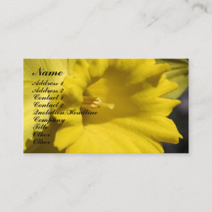 Daffodil Blomsterfotografi Affärskort Visitkort