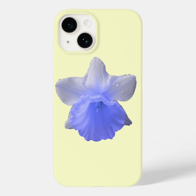 Daffodil Blue (Baksida)