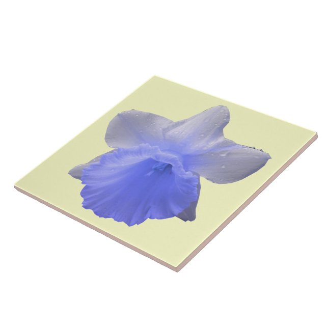 Daffodil Blue Tile Kakelplatta (Sidan)