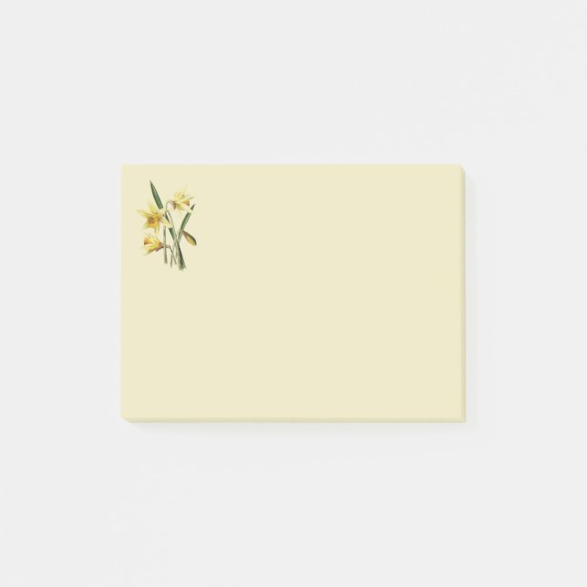 Daffodil bokför anteckningar post-it block (Framsida)