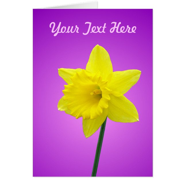 Daffodil Card - mall Hälsningskort (Framsidan)
