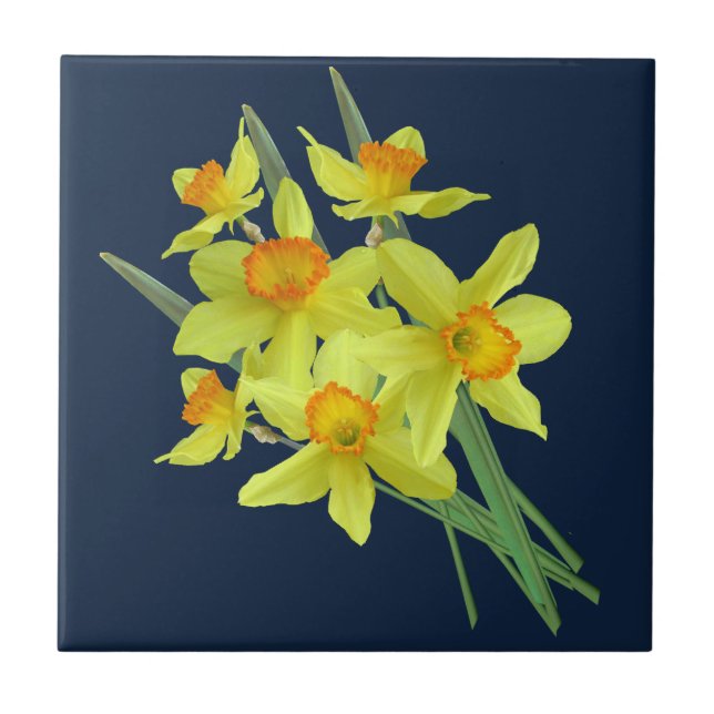DAFFODIL CERAMISK TITEL KAKELPLATTA (Framsidan)