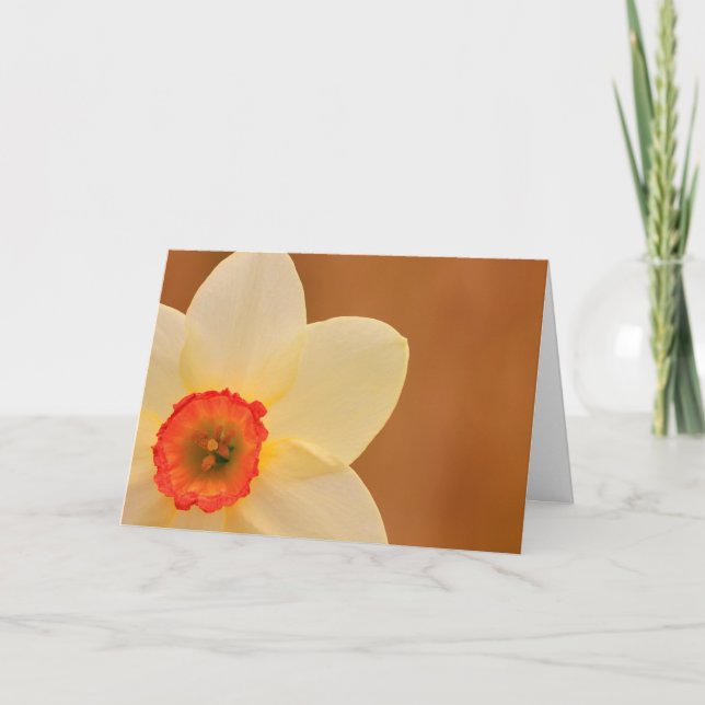 Daffodil Chemo Cancer Support Kort (Framsida)