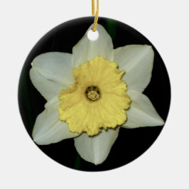 Daffodil Close Round Ornament