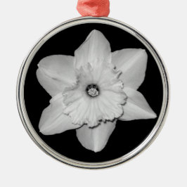 Daffodil Close-up (B&W) Ornament