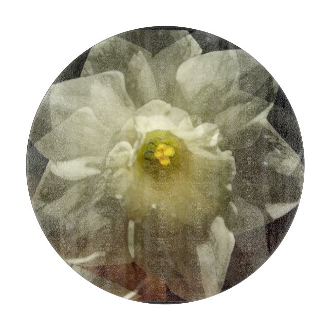 Daffodil Dreams (Framsidan)