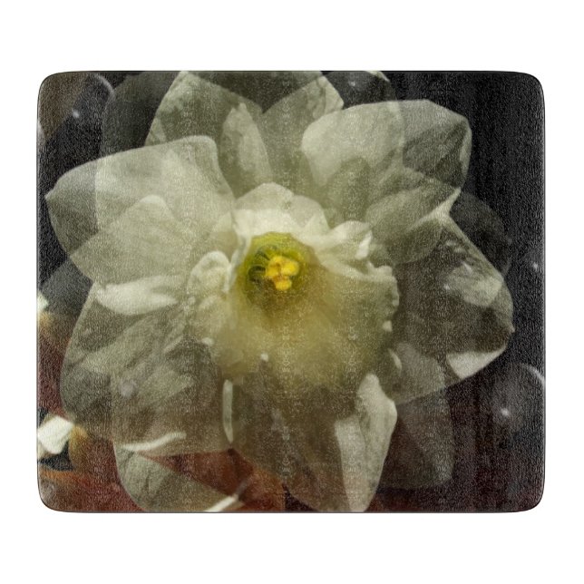 Daffodil Dreams (Framsidan)