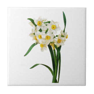 Daffodil eller Narcissus av Pierre Joseph Redoute Kakelplatta