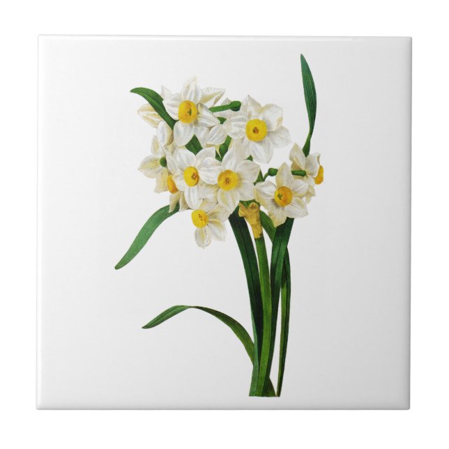 Daffodil eller Narcissus av Pierre Joseph Redoute Kakelplatta (Framsidan)