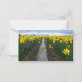 Daffodil Fält Anteckningskort