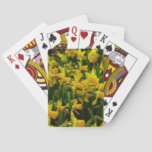 Daffodil Family Spel Kort