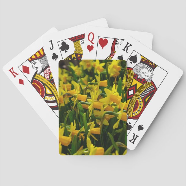 Daffodil Family Spel Kort (Baksidan)