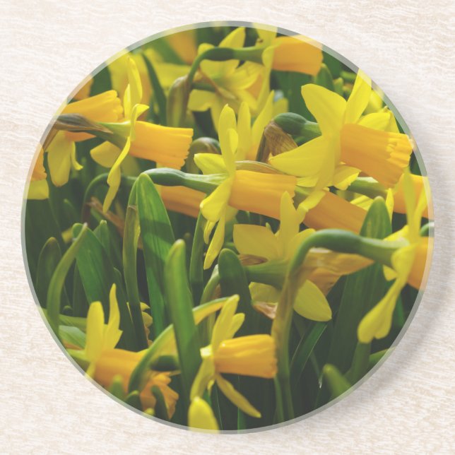 Daffodil Family Underlägg (Framsidan)