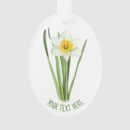 Daffodil Flower