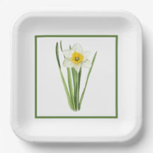 Daffodil Flower Borded Botanical Art