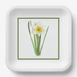 Daffodil Flower Borded Botanical Art