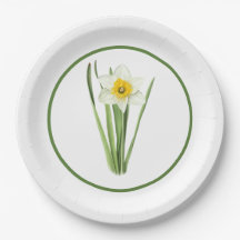 Daffodil Flower Borded Botanical Art