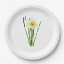 Daffodil Flower Botanical Art