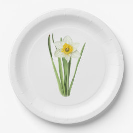 Daffodil Flower Botanical Art