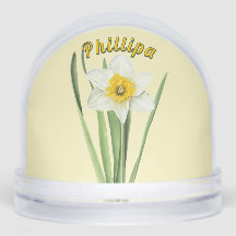 Daffodil Flower Botanical Art Personlig