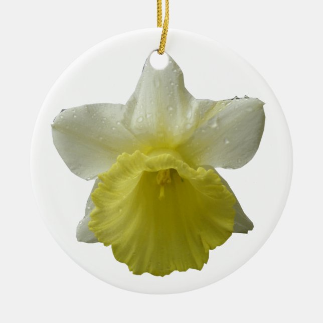 Daffodil Flower Ornament (Framsidan)