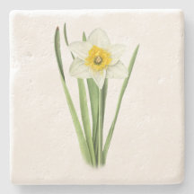 Daffodil Flower