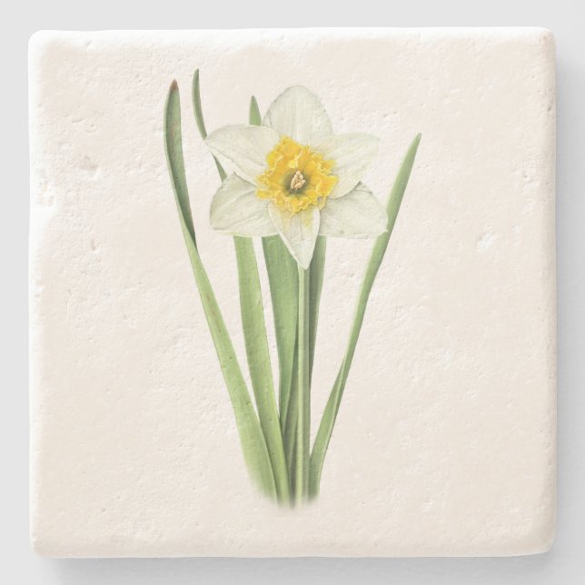 Daffodil Flower Stenunderlägg (Framsidan)