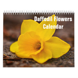 Daffodil Flowers 2025 Calendar Kalender