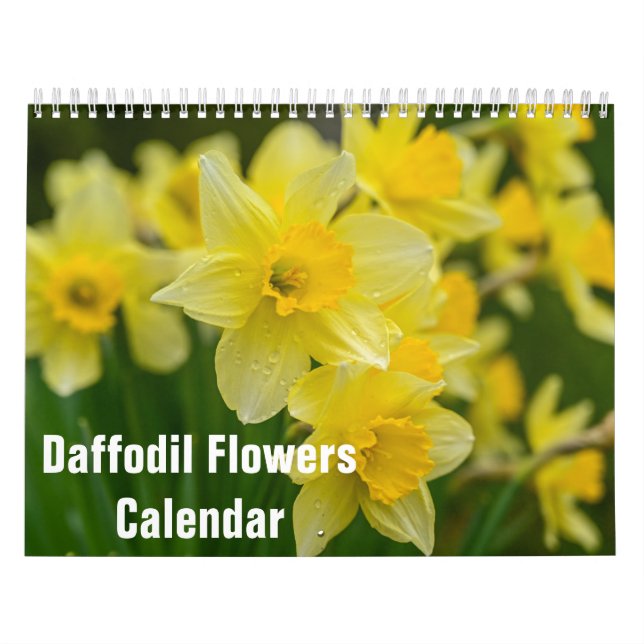 Daffodil Flowers Blommigt 2025 Kalender (Omslag)