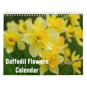 Daffodil Flowers Blommigt 2025 Kalender