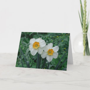 Daffodil Flowers Kort