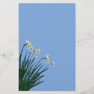 Daffodil Flowers-lager Brevpapper