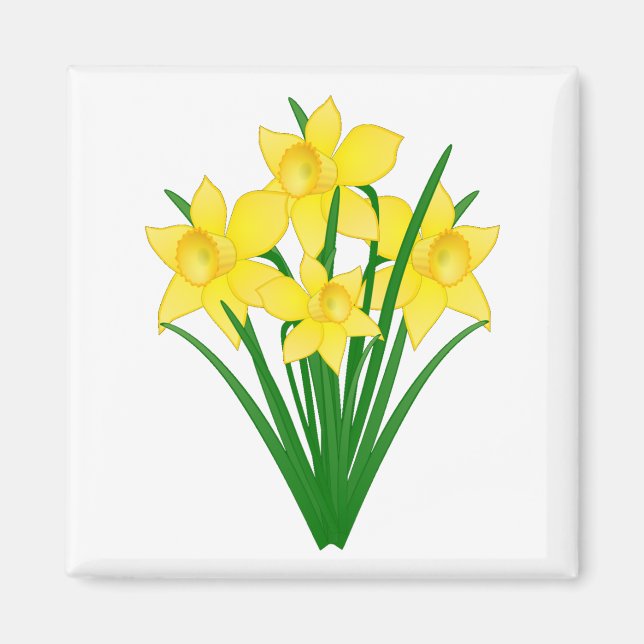 Daffodil Flowers Magnet (Framsidan)