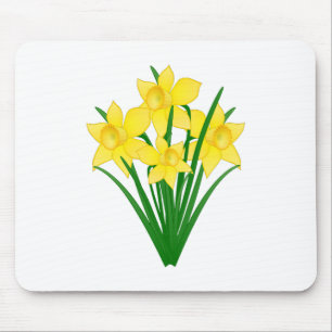 Daffodil Flowers Musmatta