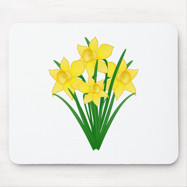 Daffodil Flowers Musmatta (Framsidan)