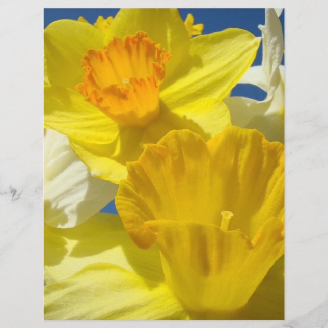 Daffodil Flowers Scrapbooking papper Scrapbook (Framsida)