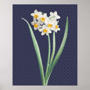 Daffodil Flowers Vintage Retro Art Poster
