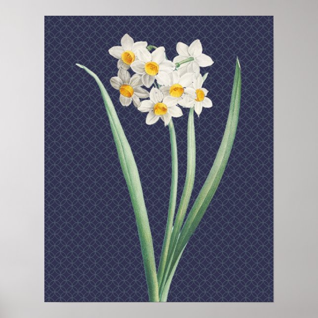 Daffodil Flowers Vintage Retro Art Poster (Framsidan)