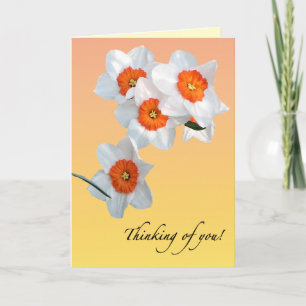 Daffodil födelsedagskort kort