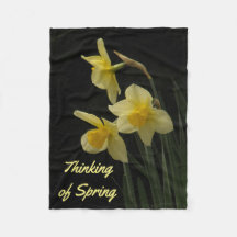 Daffodil Fotoblankett