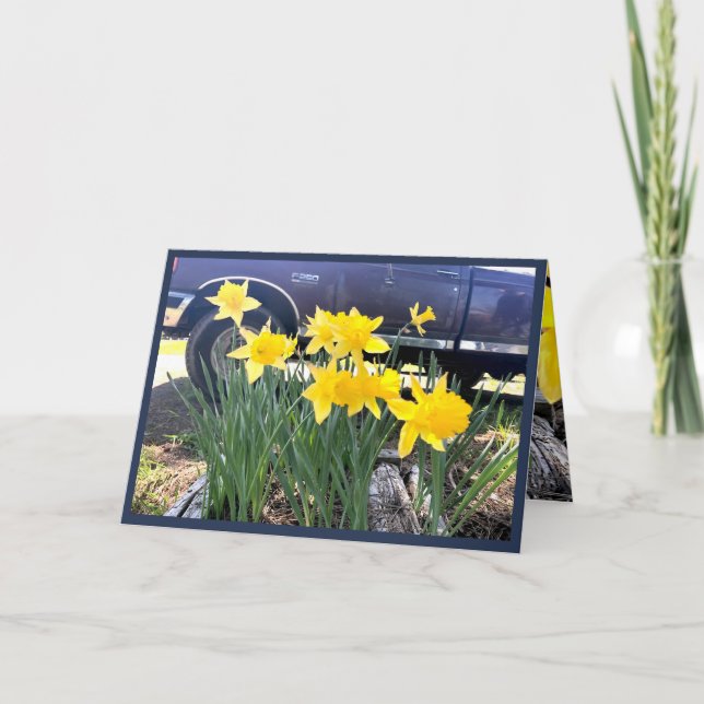 Daffodil från mitt gamla hälsningskort i lastbil,  kort (Framsida)