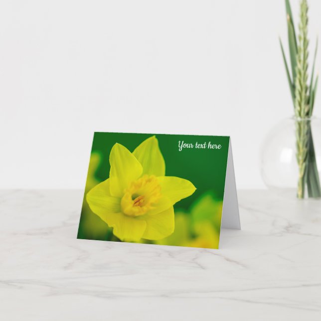 Daffodil Greeting Card Tack Kort (Framsida)