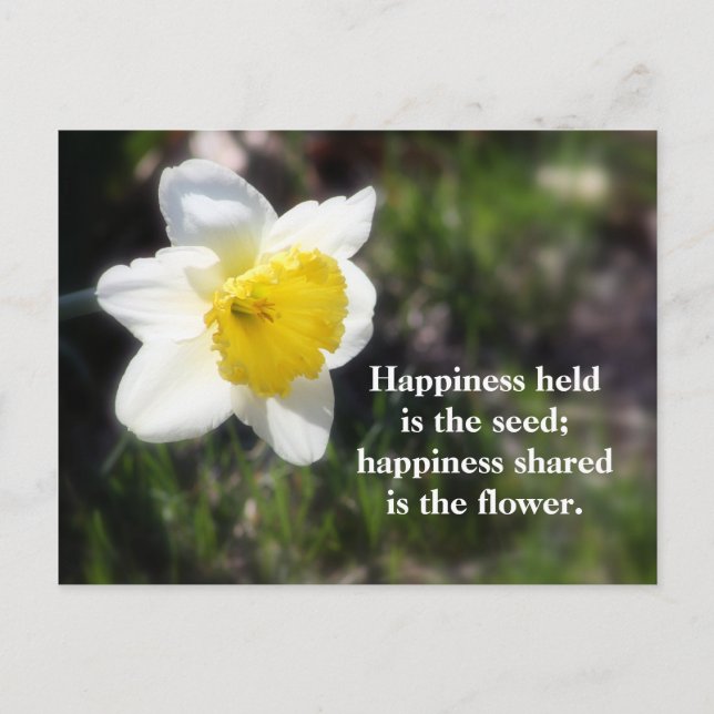 Daffodil Happtography & Quote Vykort (Framsida)
