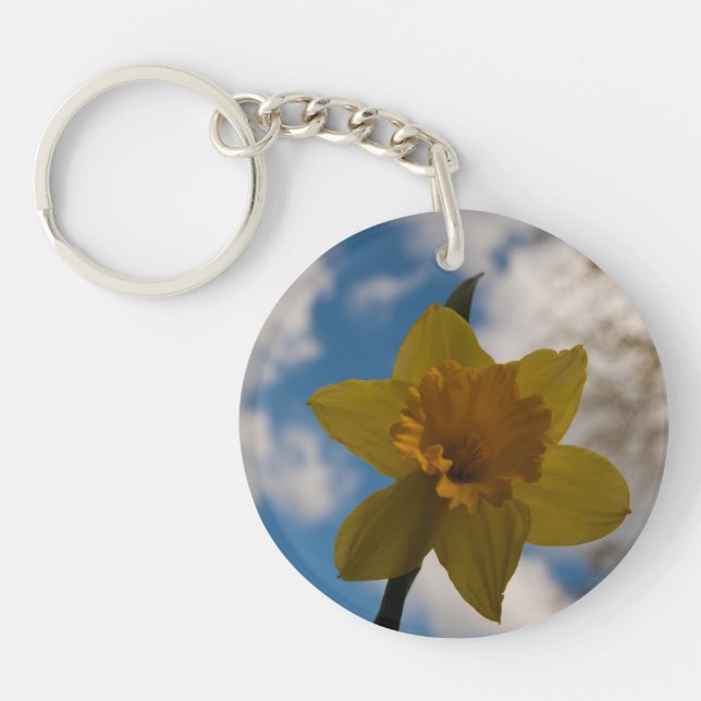 Daffodil i vår (Framsidan)