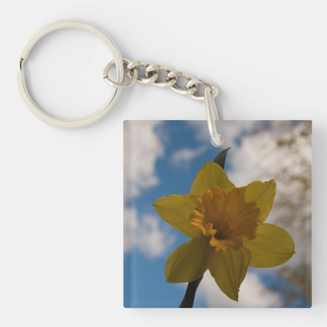 Daffodil i vår (Framsidan)
