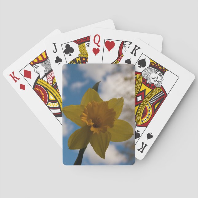 Daffodil i vår spel kort (Baksidan)