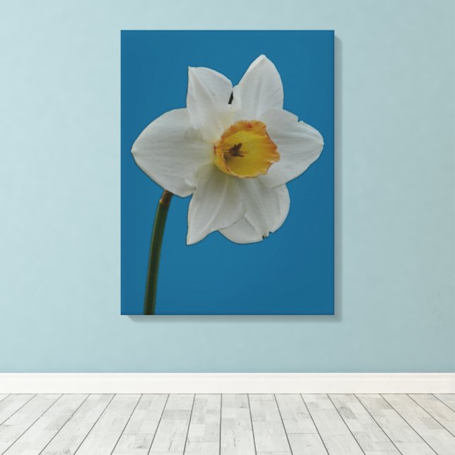 Daffodil-Kanvastryck Canvastryck (Insitu (trägolv))