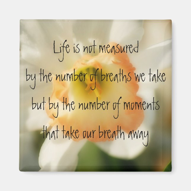 Daffodil Life Quote Magnet (Framsidan)