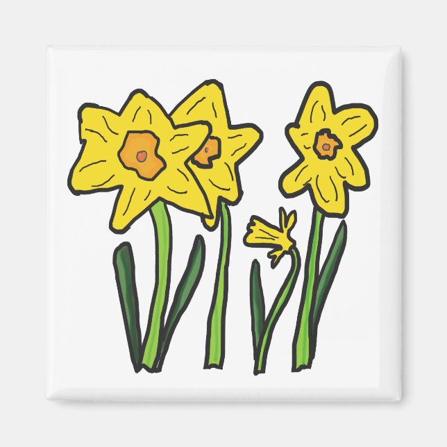 Daffodil Magnet (Framsidan)