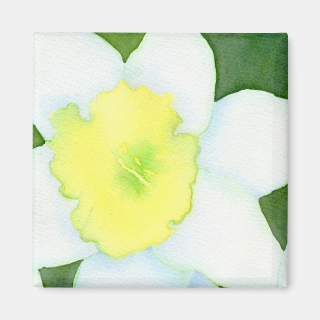 Daffodil Magnet (Framsidan)